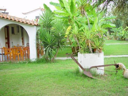 Banana Place Aparthotel Zacharo Exterior photo
