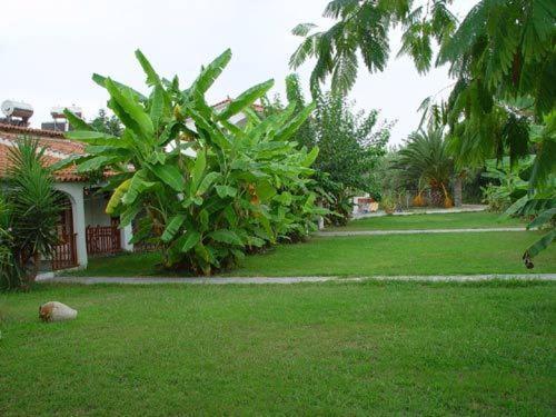Banana Place Aparthotel Zacharo Exterior photo